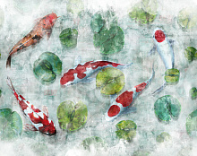 Factura FAUNA KOI 2